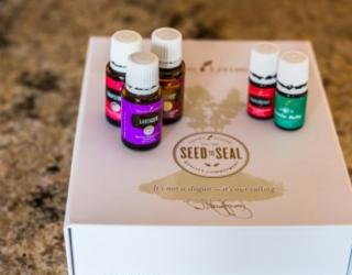 什么是薰衣草油(薰衣草精油入门知识)