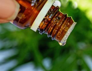 10种最好的护肤精油(什么精油护肤最好)