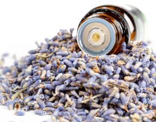 薰衣草纯露对痘痘有用吗(薰衣草纯露对痘痘肌有什么作用)