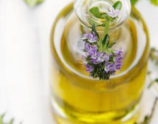 马鞭草纯露可以天天用吗(马鞭草纯露什么时候使用)