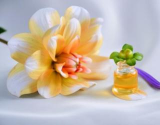 什么油能提高性功能(改善性功能用什么精油)