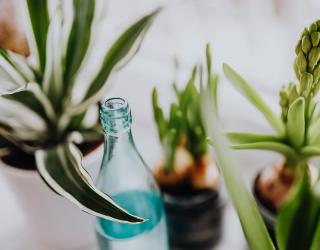 瘦身精油减肥有效果吗(什么精油可以减肥瘦身)