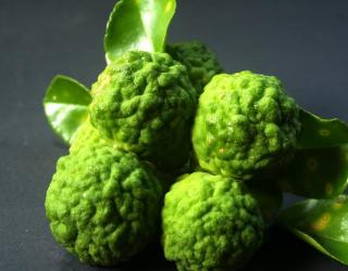 什么精油最燃烧脂肪(燃脂用什么精油最好)