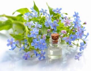 什么精油去皱纹效果最好(什么精油抗皱紧致皮肤)