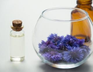 全身按摩的精油哪个牌子最好(什么牌子的身体精油比较好一些)