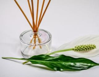 人体精油有什么作用