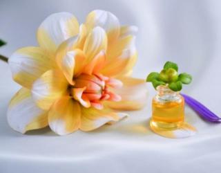 什么精油可以提高女性功能