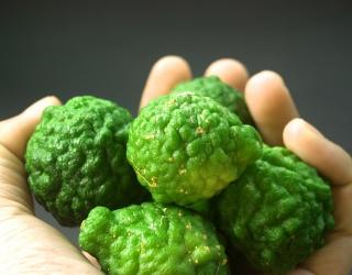 精油按摩用的是什么精油