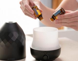 侧柏精油是什么（用途和注意事项）