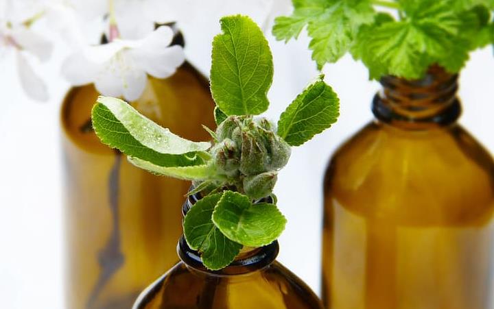 嘴唇长泡用什么精油(嘴巴上火起泡用什么精油)