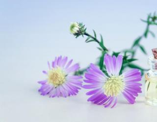 嘴唇长泡用什么精油（嘴巴上火起泡用什么精油）