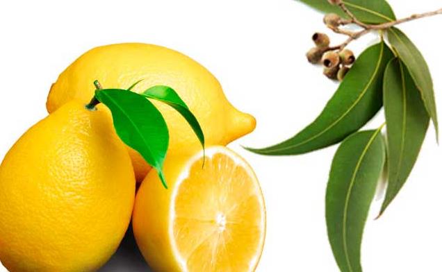 柠檬精油可以跟什么精油混合?