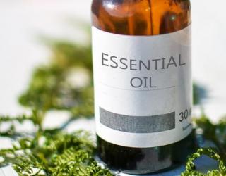 您可以用抗病毒精油治疗什么？