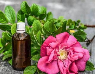 鼠尾草精油是什么_不同品种的作用和副作用