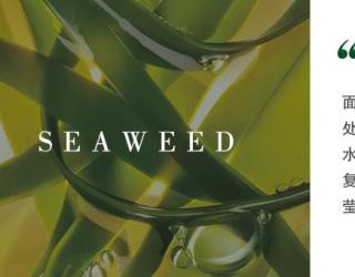 海藻护肤有副作用吗_应该注意什么