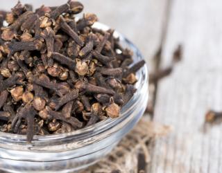 咀嚼丁香对健康有什么好处？