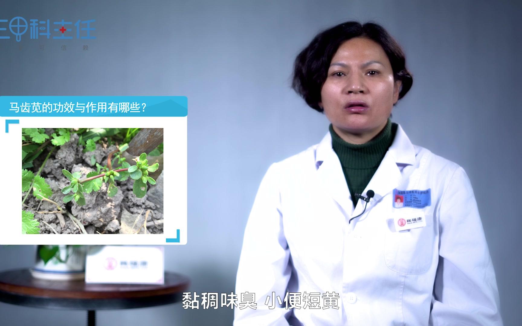 野利苋的功效(野利苋：清热解毒，降血压降血糖)