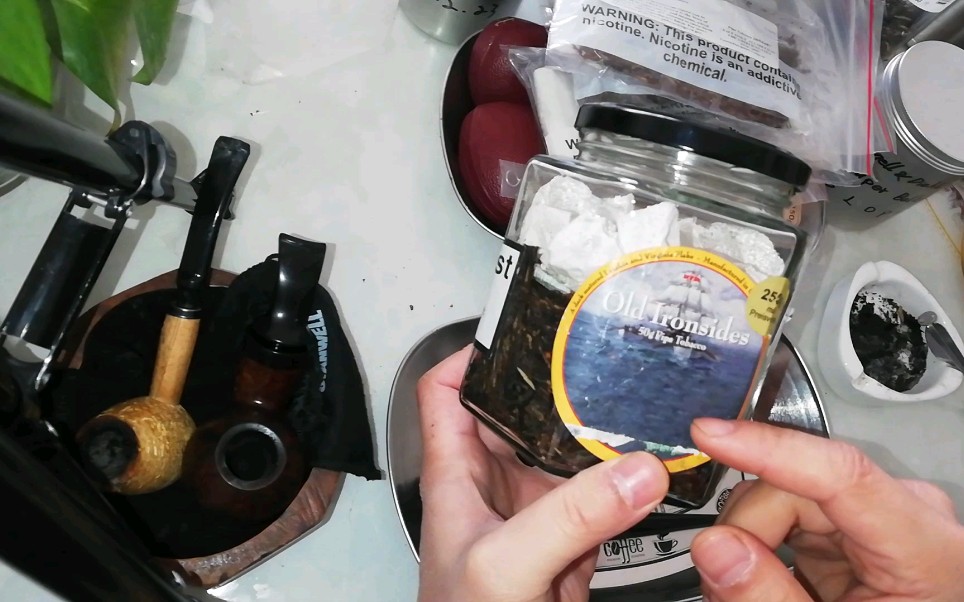 铁甲草有什么功效(铁甲草功效大揭秘，了解铁甲草的神奇功效) ...