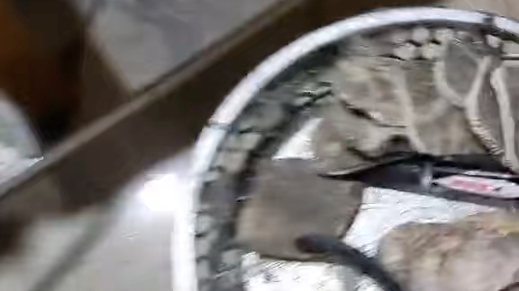 宾灵功效是什么(宾灵功效大揭秘：让你重拾年轻肌肤)