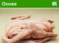 鹅肉