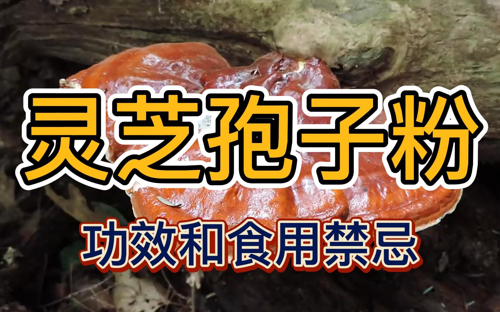 灵芝菌丝体粉的功效(灵芝菌丝体粉：增强免疫力，抗疲劳，美容养颜) ...