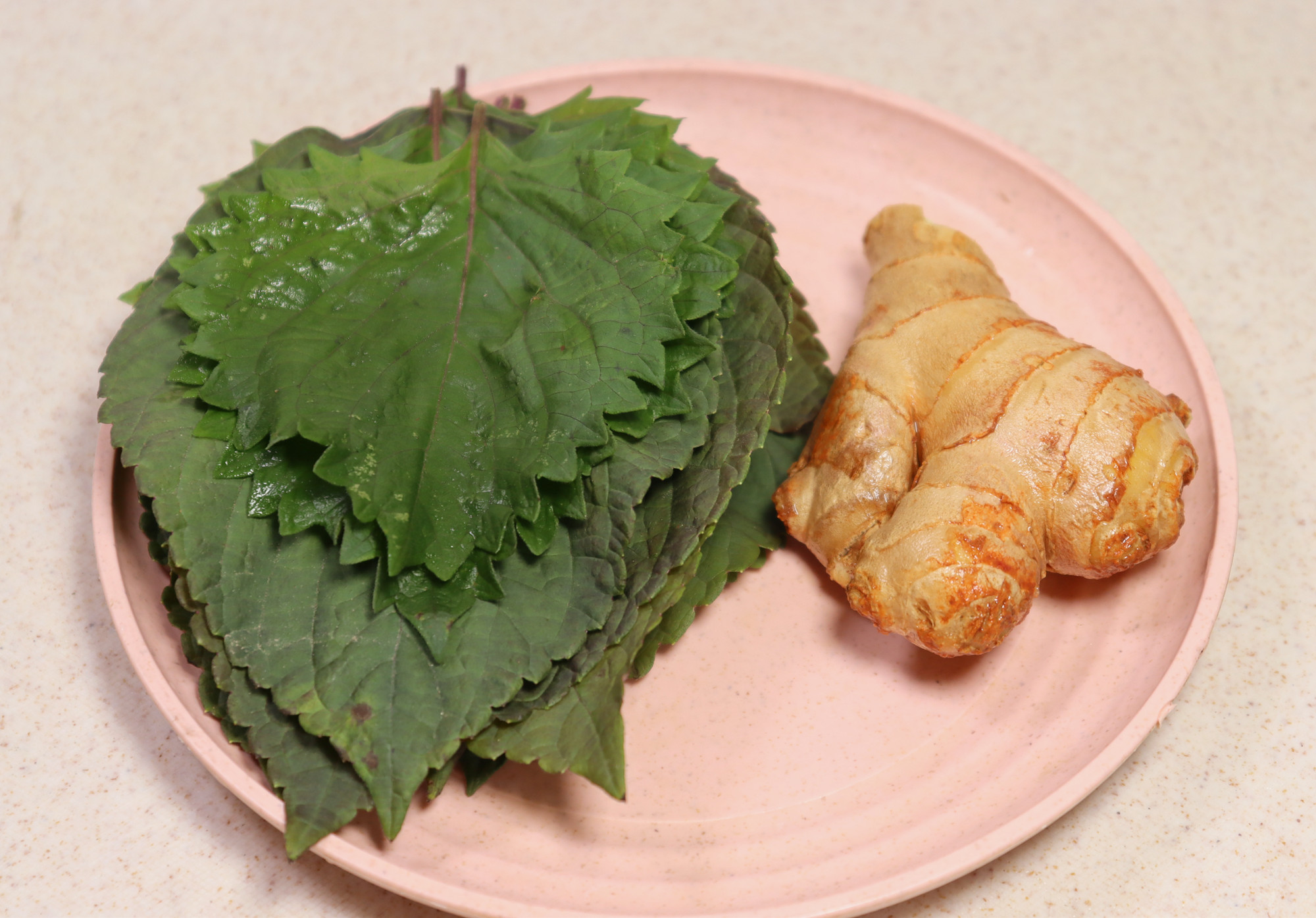 紫苏叶泡水喝的功效(紫苏叶泡水喝的好处，提高免疫力，舒缓神经压力) ...