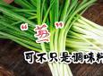 葱白连须的功效与作用(葱白连须的功效与作用，全面解析)