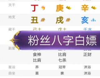 辛庚的功效与作用(辛庚：强效止痛，缓解疼痛不适)