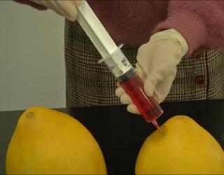 红心草的功效与作用(红心草：补肾养心，润肺止咳，抗疲劳)